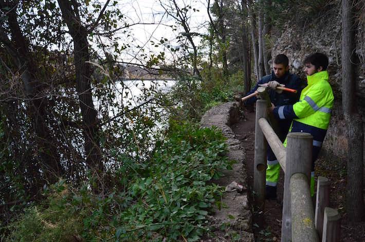 El Consorci riu Millars rehabilita tres quilòmetres de balises i part del mobiliari danyat de la senda botànica