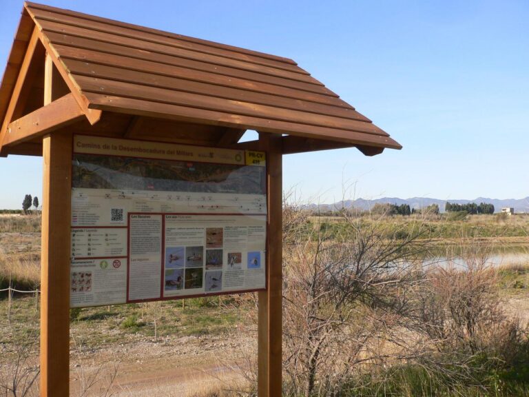 La Desembocadura del Millars, a colp d’ullada de la mà d’una nova APP