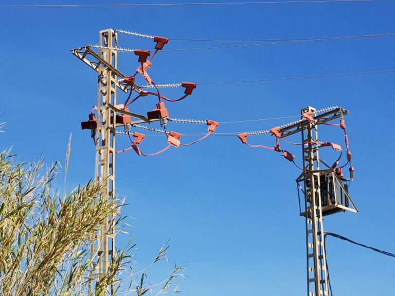 Rectifiquen tres postes elèctriques on fa uns mesos va morir electrocutada una àguila