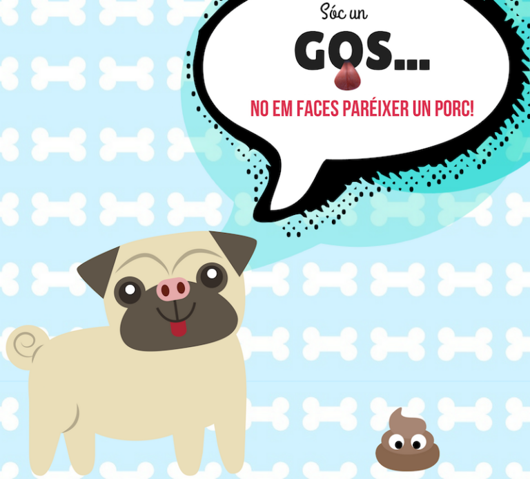 'Sóc un gos… no em faces paréixer un porc', la innovadora campanya d’UCOVI i Globalis per a mantenir 'Vila-real + neta'