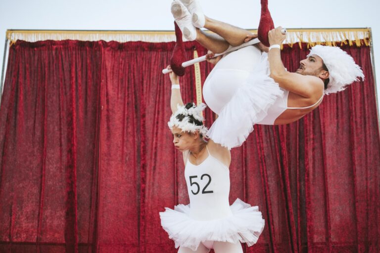 Cultura prepara per a aquesta setmana circ, teatre, un concert i el cinema d’estiu