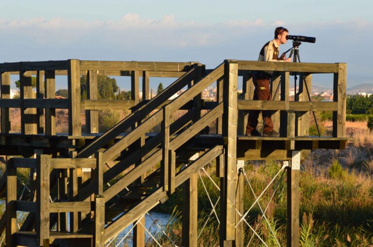 Reparen les torres de fusta sobre el riu Millars per a l'observació d'aus
