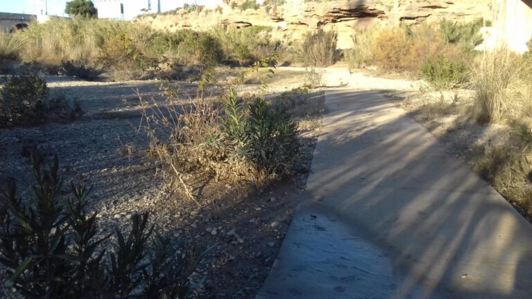 La desembocadura del Millars es torna a quedar sense aigua després de dos mesos amb un cabal continu