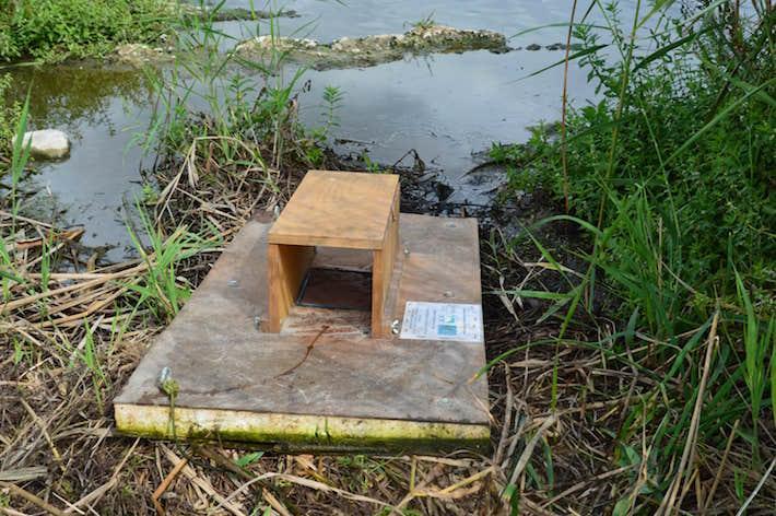 El Consorci riu Millars participa en un projecte per a eliminar els nuclis de visó americà i protegir l'autòcton