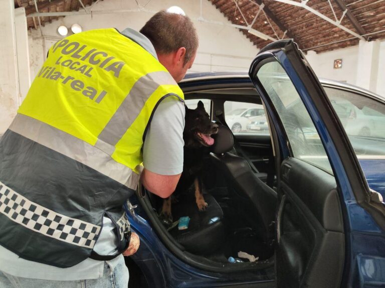 La Unitat Canina de Vila-real entrena amb la secció de la Policia Local de Borriana