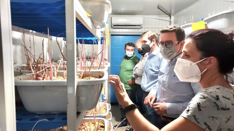 Casabó visita la Cooperativa Catòlica Agrària i demana agilitzar les ajudes als citricultors