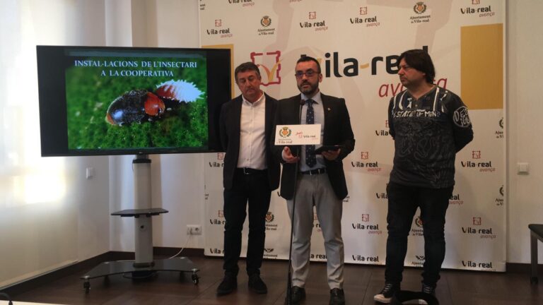 Vila-real i Cooperativa Catòlic Agrària impulsen una ‘granja’ d’insectes per a controlar plagues en cítrics