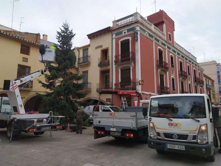 Comença el muntatge de l’arbre nadalenc a la Plaça la Vila