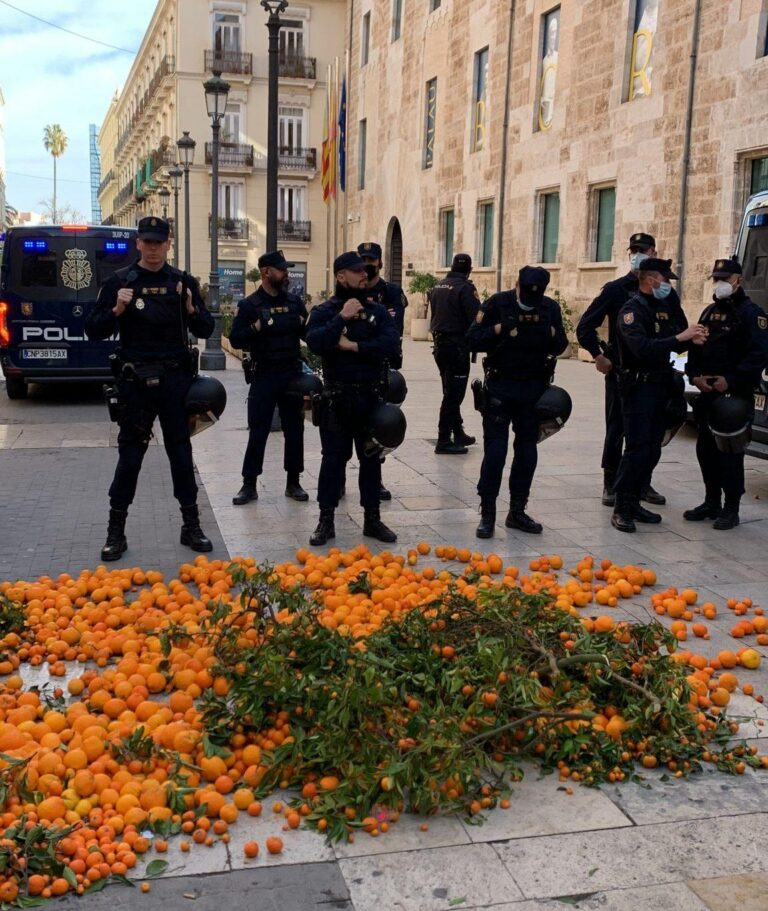 Els agricultors de Vila-real es concentren a València per defensar el camp