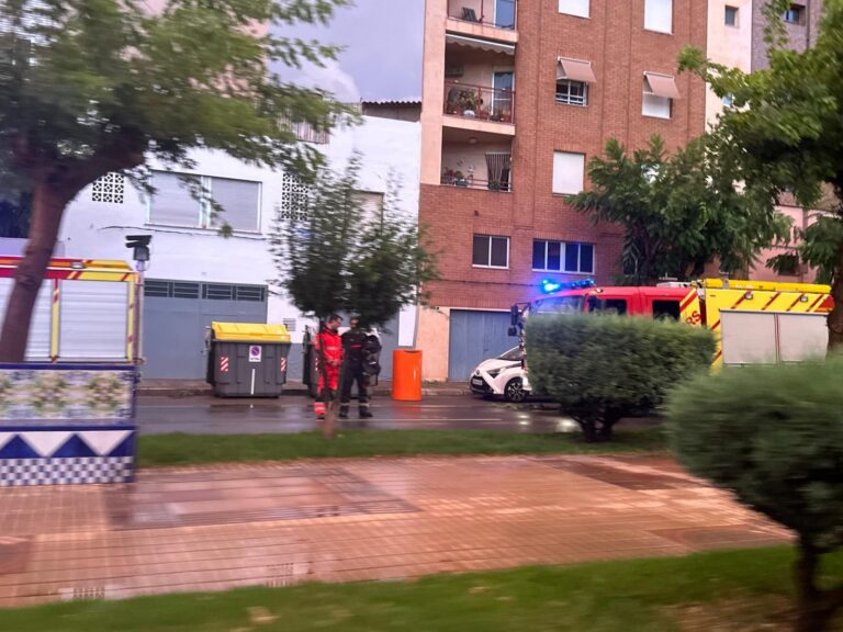 Una tempesta provoca la caiguda d’un arbre a Vila-real i 15 litres de precipitacions