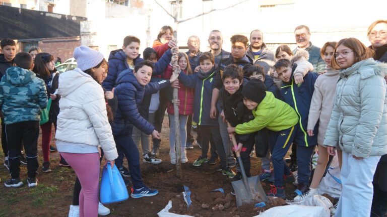 Els escolars celebren el Dia de l’Arbre en la Comunitat Valenciana