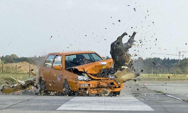 Com actuar davant un accident amb animals a la carretera per a evitar conseqüències greus