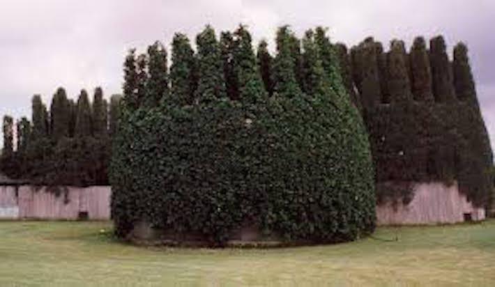 Feliciten a Apaval per aconseguir la "victòria als jutjats" per a la reconversió en el parany