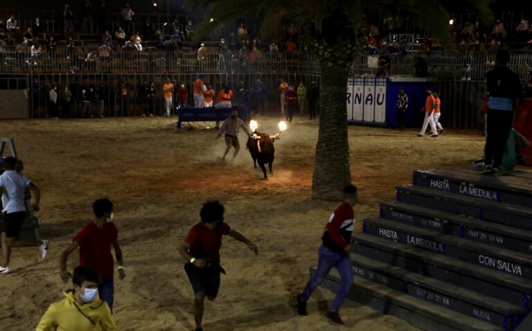 9 d’octubre taurí a Vila-real amb desafiament de ramaderies i exhibició d’emboladors