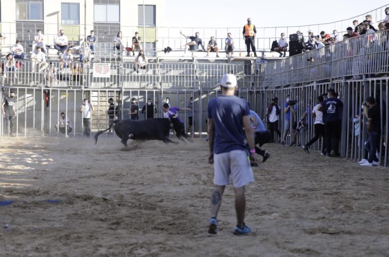Aforament complet en la represa dels bous al carrer en temps de la Covid-19