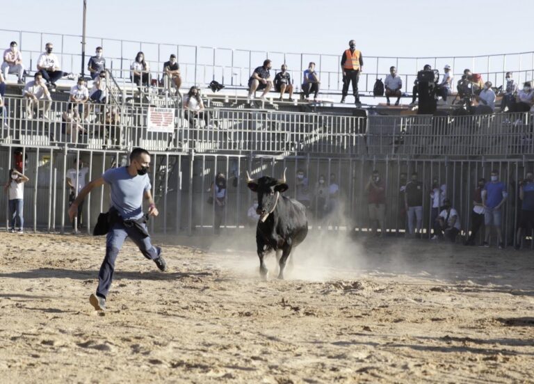 Compromís exigeix saber quant costarà a l’Ajuntament la jornada taurina del 9 d’octubre 