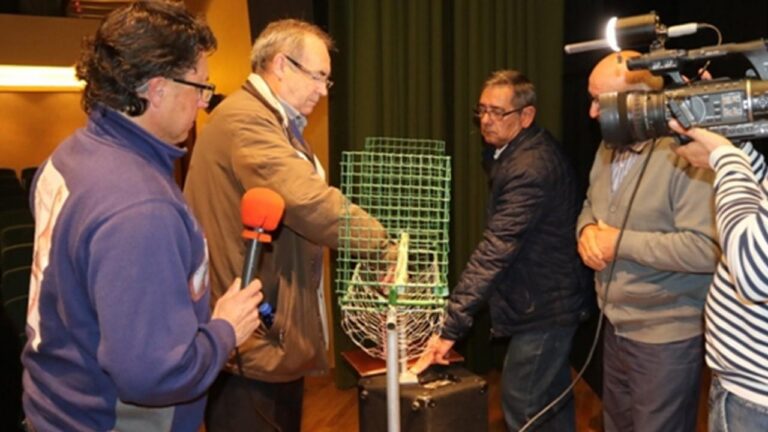 El PP eleva al ple la necessitat de defensar el parany i el mètode de caça selectiu cistell malla