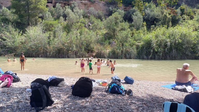 Prop de 200 xiquets i xiquetes descobreixen el valor ambiental del riu Millars amb el programa d’Escoles d’Estiu del Consorci
