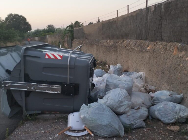 Solucionat el problema del col·lapse dels contenidors per la poda dels masets i els voluminosos