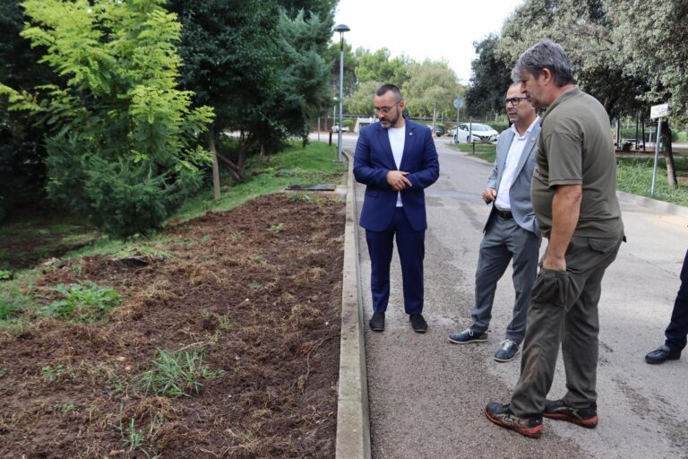 Benlloch planteja instal·lar sistemes de control de senglars en infraestructura municipal