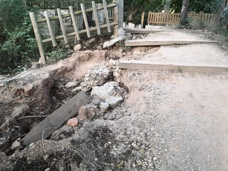 Benlloch demana un major manteniment en la Ruta Botànica al Consorci del Millars