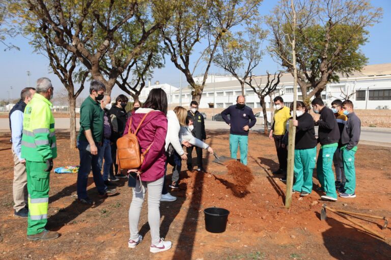 Els alumnes de sis col·legis de Vila-real commemoren el Dia de l’Arbre
