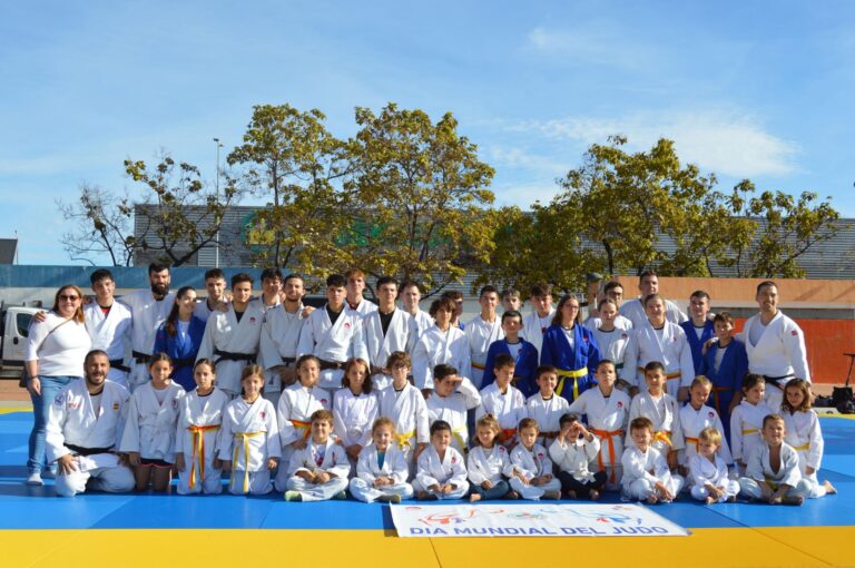 Vila-real celebra el Dia Mundial del Judo amb una exhibició a la plaça de la Maiorasga