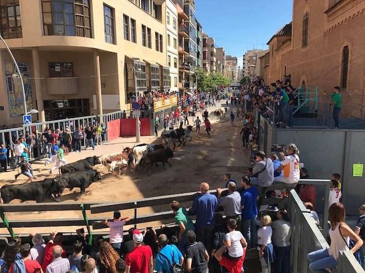 El primer ‘encierro’ de les festes de sant Pasqual se salda amb dos ferits lleus per caiguda