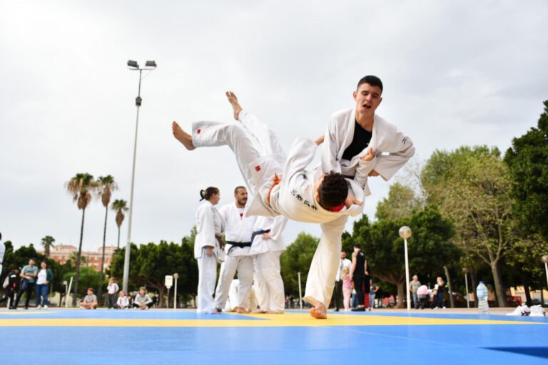 El parc de la Maiorasga acull aquest matí una exhibició de judo