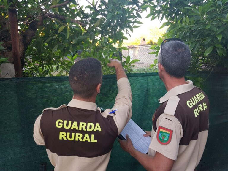 El Consorci del Millars detecta un augment de construccions il·legals en la zona