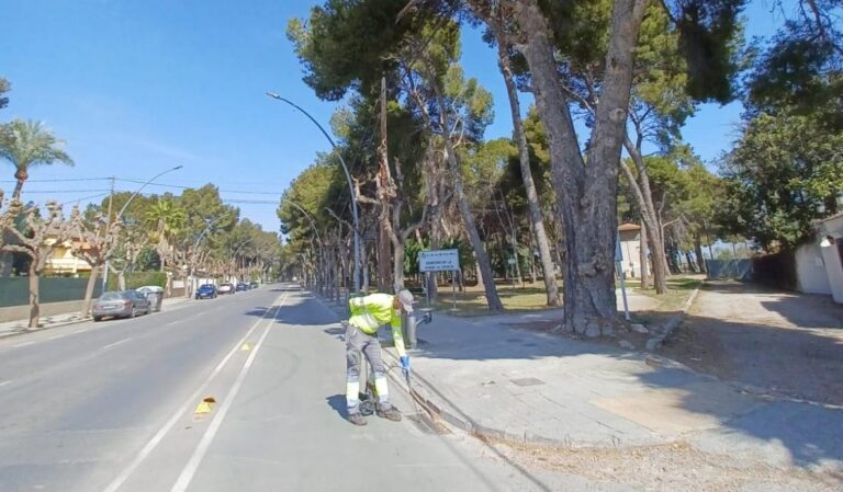 Vila-real intensifica els tractaments contra els mosquits amb l’arribada del bon temps