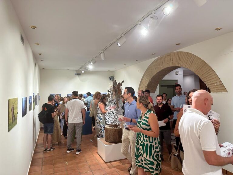 Vila-real ofereix als artistes exposar pel 750é aniversari de la fundació de la ciutat