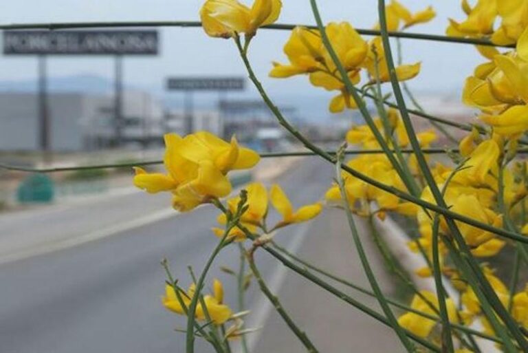 Nous horitzons per a Espai Comercial Vila-real que ressorgeix de la mà de diversos socis empresarials 