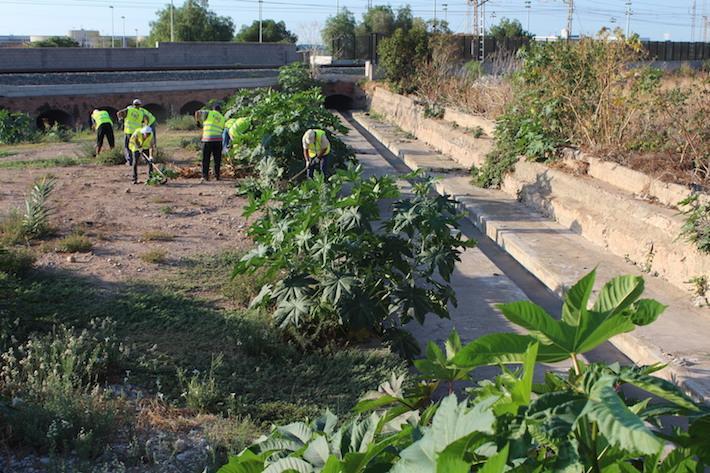 Vila-real contractarà 70 treballadors agrícoles aturats en estiu després d’aconseguir una subvenció del SEPE