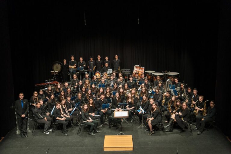 Cap de setmana cultural a Vila-real: Música per Santa Cecília i teatre de Luis Zahera