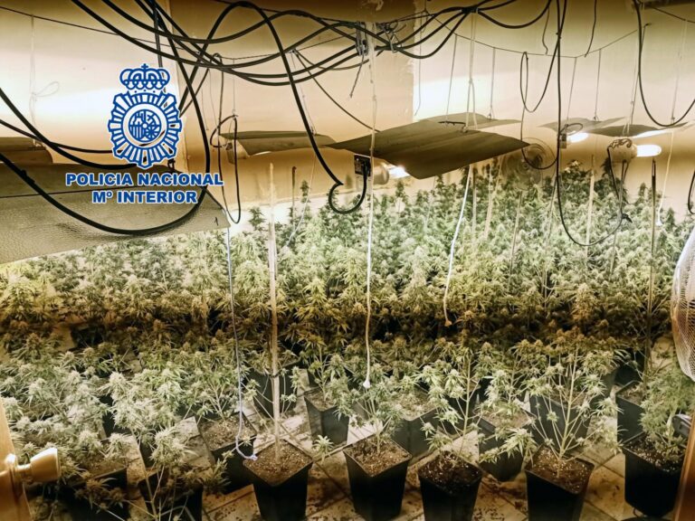 Desmantellen a Vila-real un punt de consum i venda de marihuana amb tres detinguts