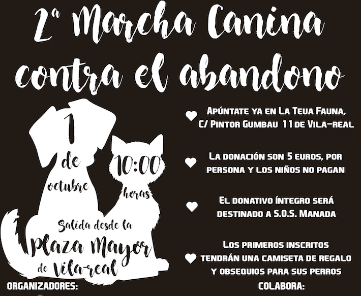 Vila-real celebra la II marxa canina solidària contra l'apandó aquest diumenge 