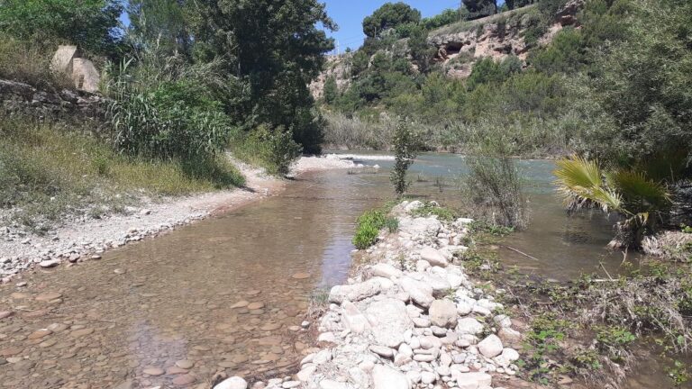 El Consorci del Paisatge del Millars repararà el tram de senda danyat per la crescuda del riu quan baixe el cabal