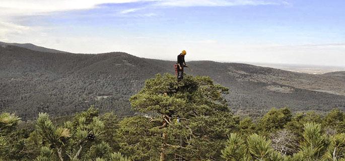 Vila-real avança cap a un model de ciutat sostenible després d'aconseguir reduir la seua petjada de carboni