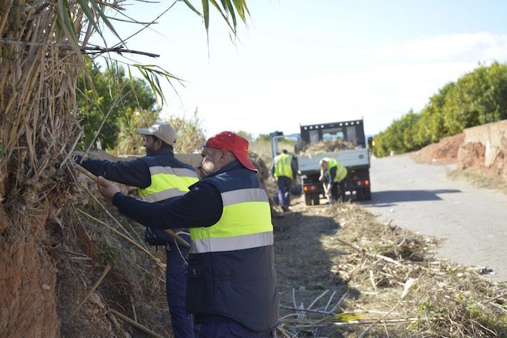 La Diputació netejarà una quinzena de camins de Vila-real per evitar riscos