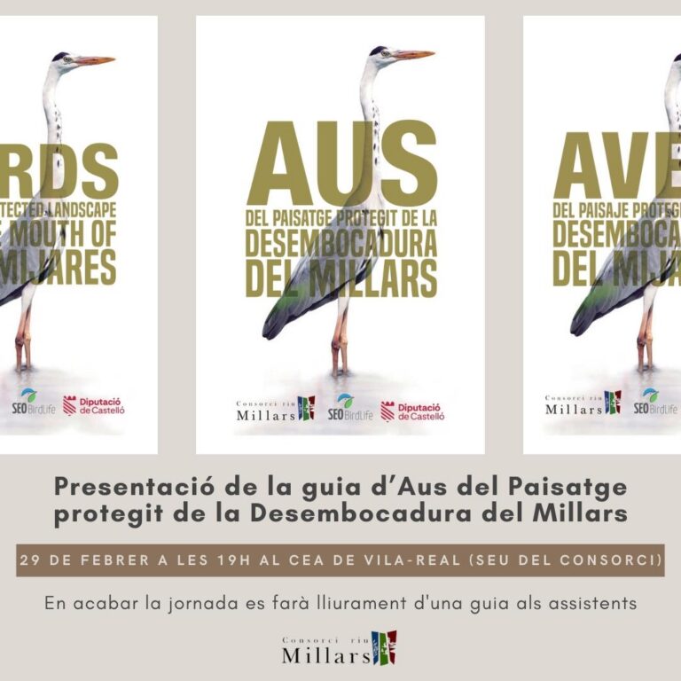 El Consorci del Riu Millars presentarà la seua guia oficial d’aus el dia 29 a Vila-real