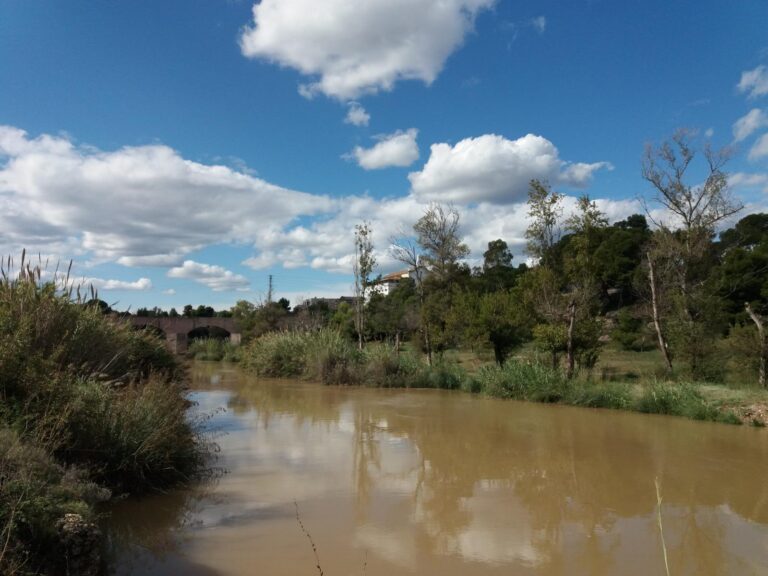 Vila-real triplicarà l’espai verd al Millars amb un passeig entre el pont de Santa Quitèria i la N-340 i un parc urbà al Madrigal
