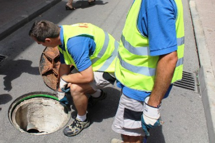 Gómez: "Hem rebut queixes per part d’alguns comerços i particulars però no es pot parlar de plaga de paneroles"