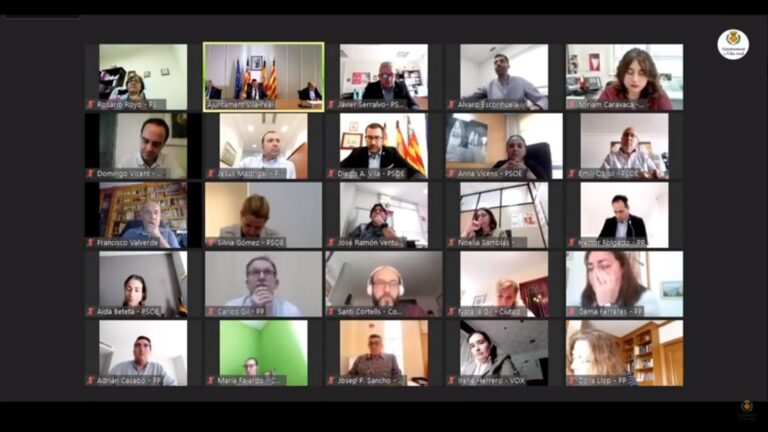 El ple aprova per unanimitat la suspensió de les taxes i l'ampliació de les terrasses per al sector hosteler