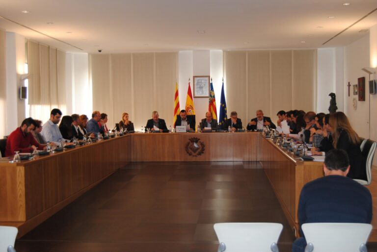 El Ple aprova una nova ordenança municipal per a lluitar contra la plaga de mosquits