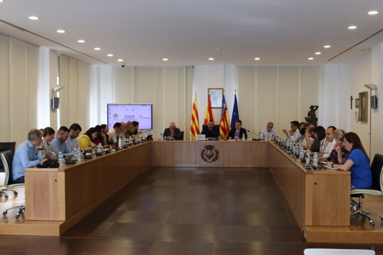 El Ple aprova incorporar més de 1,1 milions de romanents per a assegurar serveis i projectes