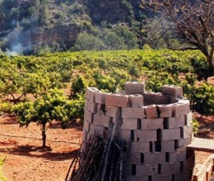 Vila-real regula l’ús del foc en explotacions agrícoles i ramaderes amb el Pla local de cremes 