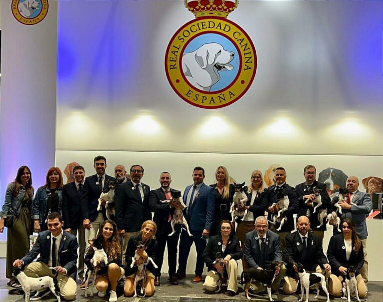 José Benlloch participa en l'acte per a declarar el Gos Rater Valencià com a raça internacional