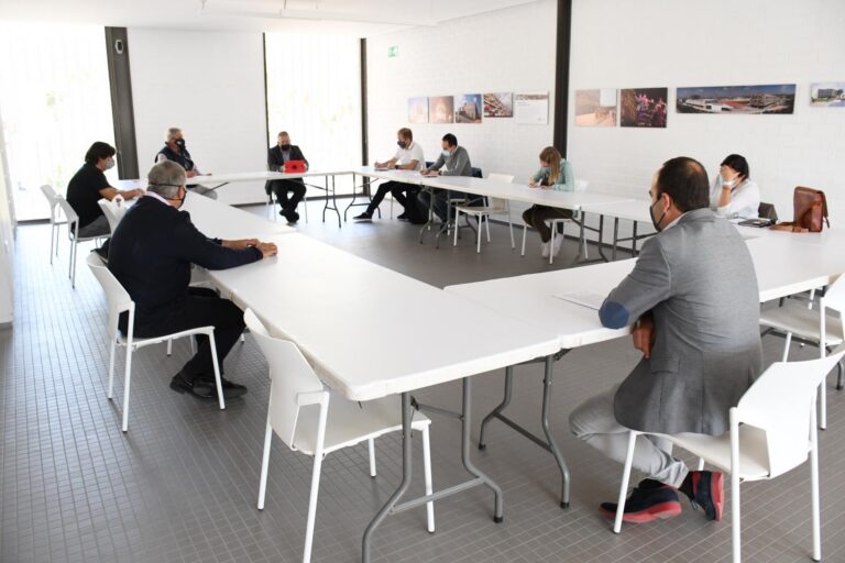 L’Ajuntament atén les peticions de l’ALIV i demanarà mesures contra el cotonet