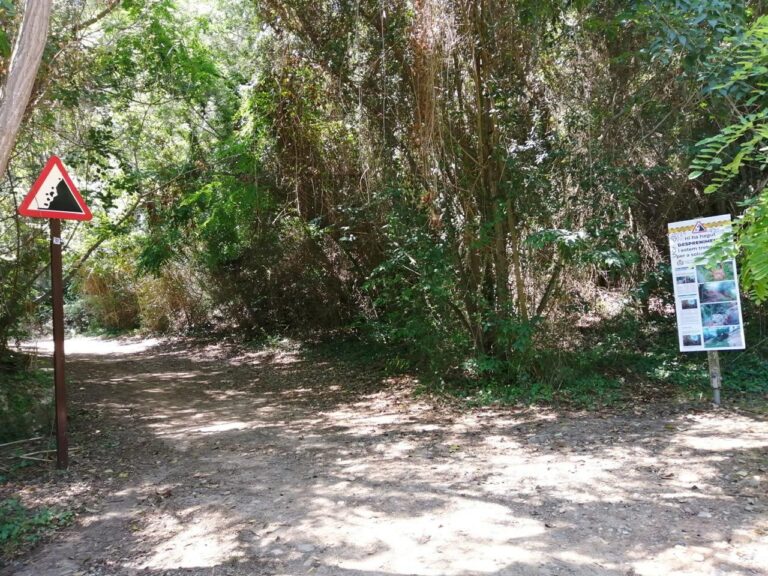 El Consorci del Millars instal·larà un tancament en la senda botànica per a reforçar la seguretat